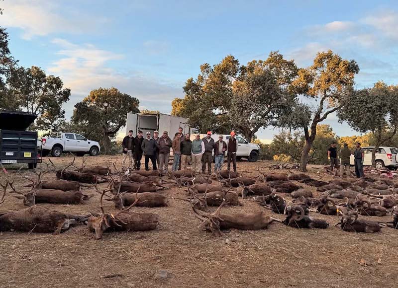Resultado Montería La Charneca 2025 Cinegética Cordobesa